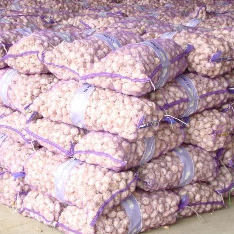 frozen garlic direct sale
